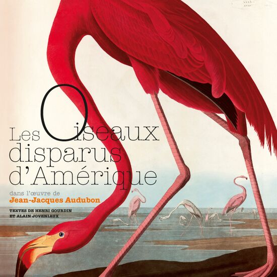 Dessins et peintures, Les oiseaux disparus d'Amérique, Audubon, La Martinière