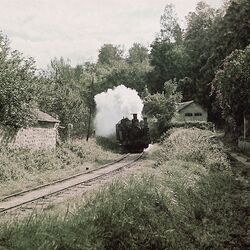 Digitization of photographs