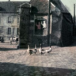 Digitization of photographs