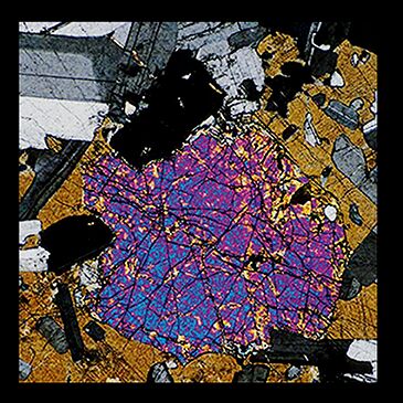 Ektas, microphotos de Gilles Martin
