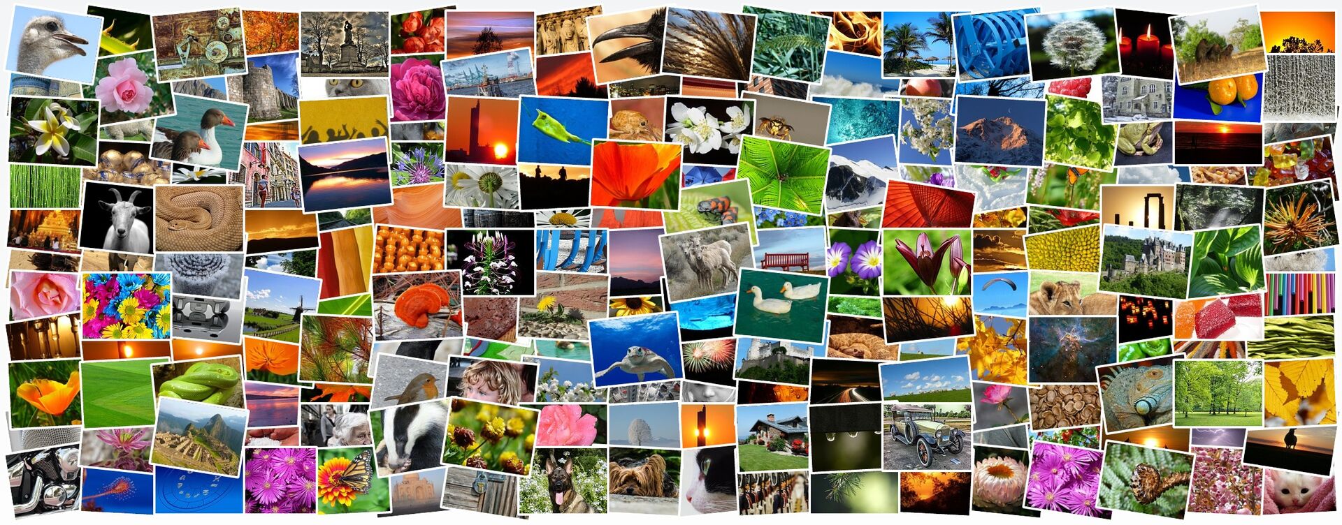 Photo prints