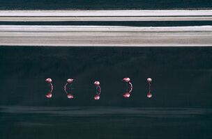 Image faisant partie d'une gallerie