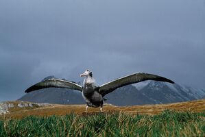 Image faisant partie d'une gallerie