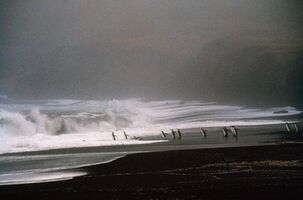 Image faisant partie d'une gallerie