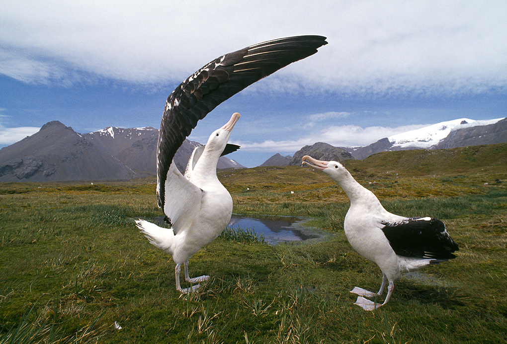 Image faisant partie d'une gallerie