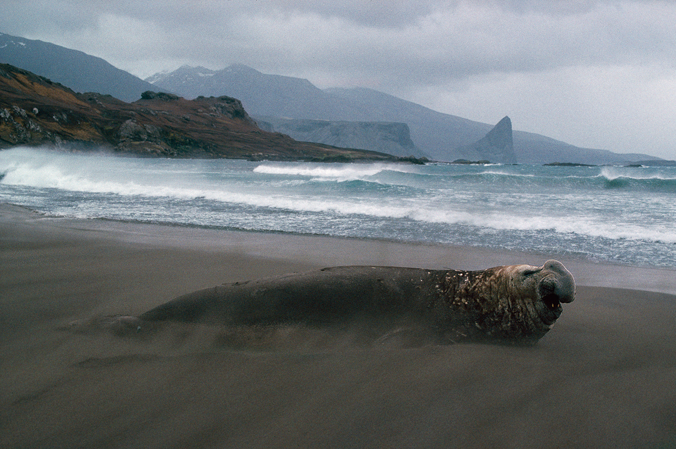 Image faisant partie d'une gallerie
