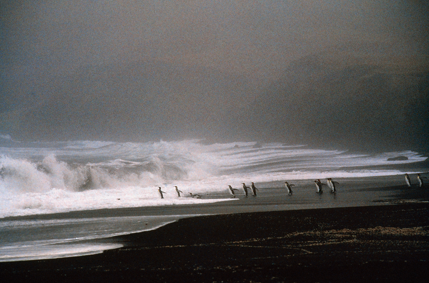 Image faisant partie d'une gallerie
