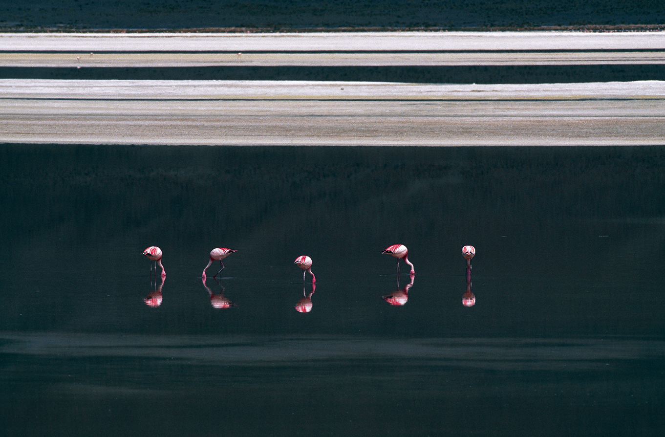 Image faisant partie d'une gallerie