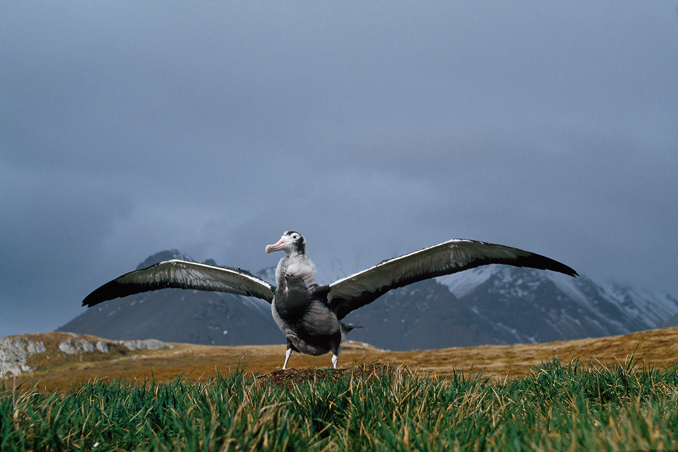 Image faisant partie d'une gallerie